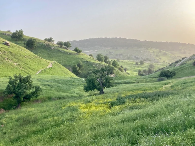 umqais hike